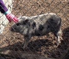 Foxtail South Golf Course-Rohnert Park必去景点