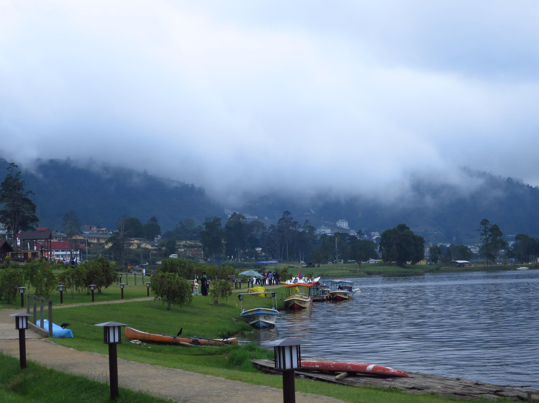 格雷戈里湖-奴娃拉伊利雅必去景点