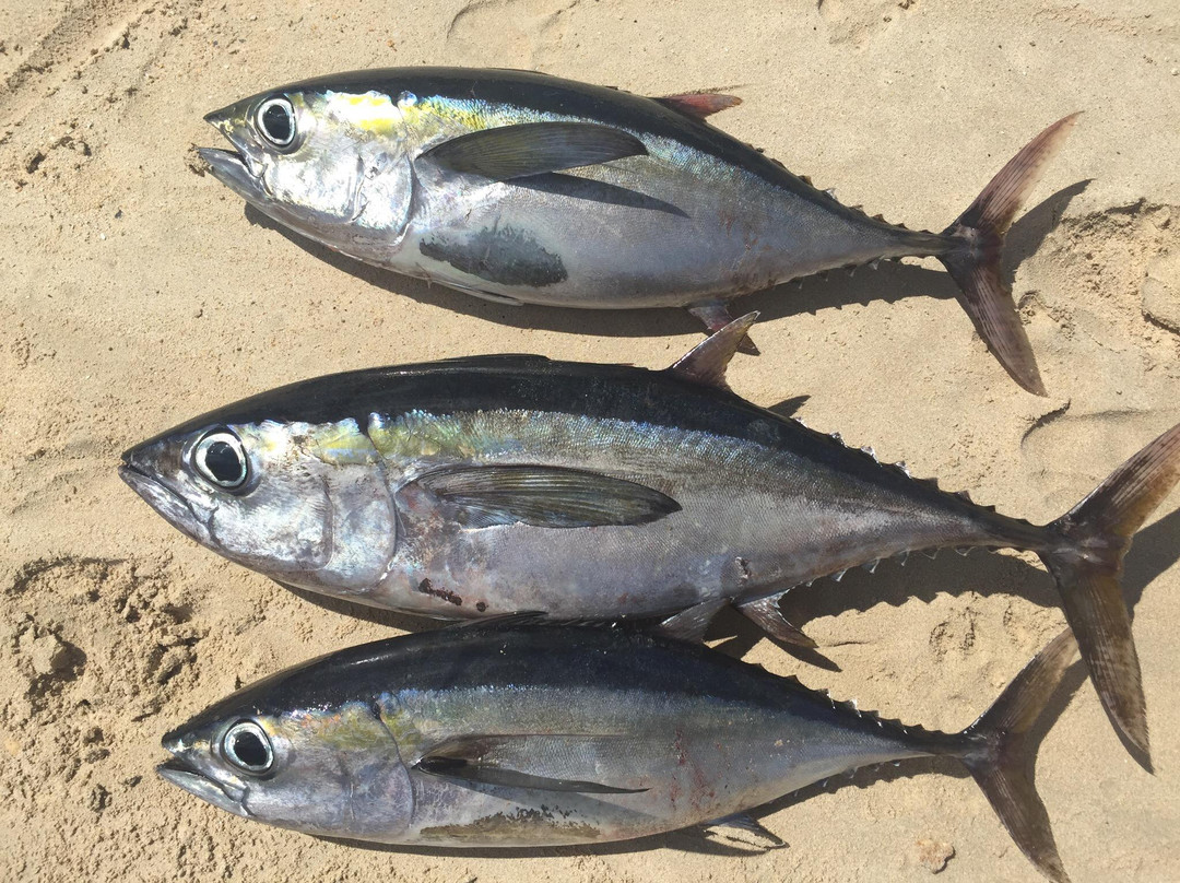 Sea Pro Charters-Sandy Ground必去景点