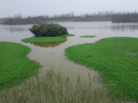 成都活水公园-成都必去景点