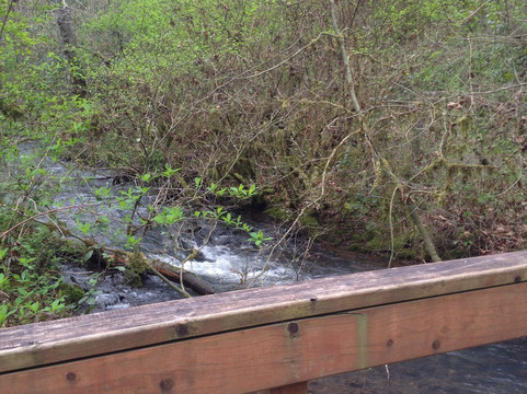 Magness Memorial Tree Farm-Sherwood必去景点