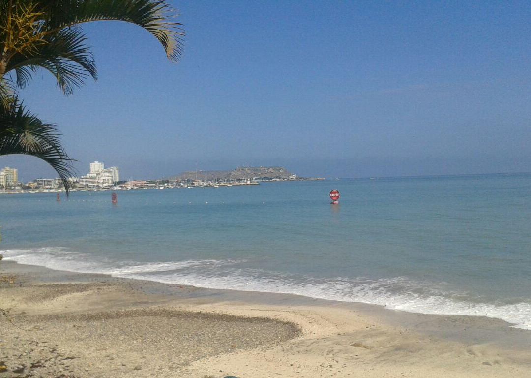 Playa Las Salinas景点图片