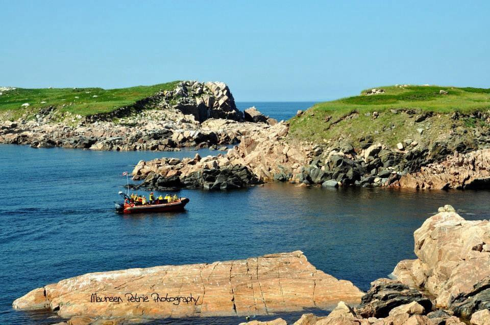 Dixon's Zodiac Seafari-Neil's Harbor必去景点