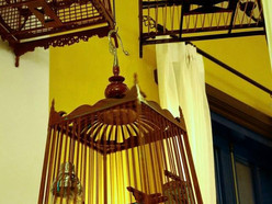 Gallery 3