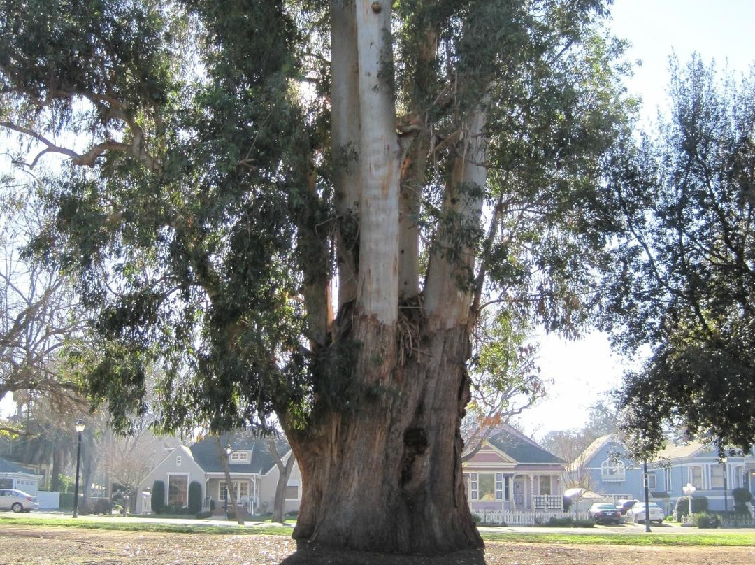 Firehouse Arts Center-普莱森顿必去景点