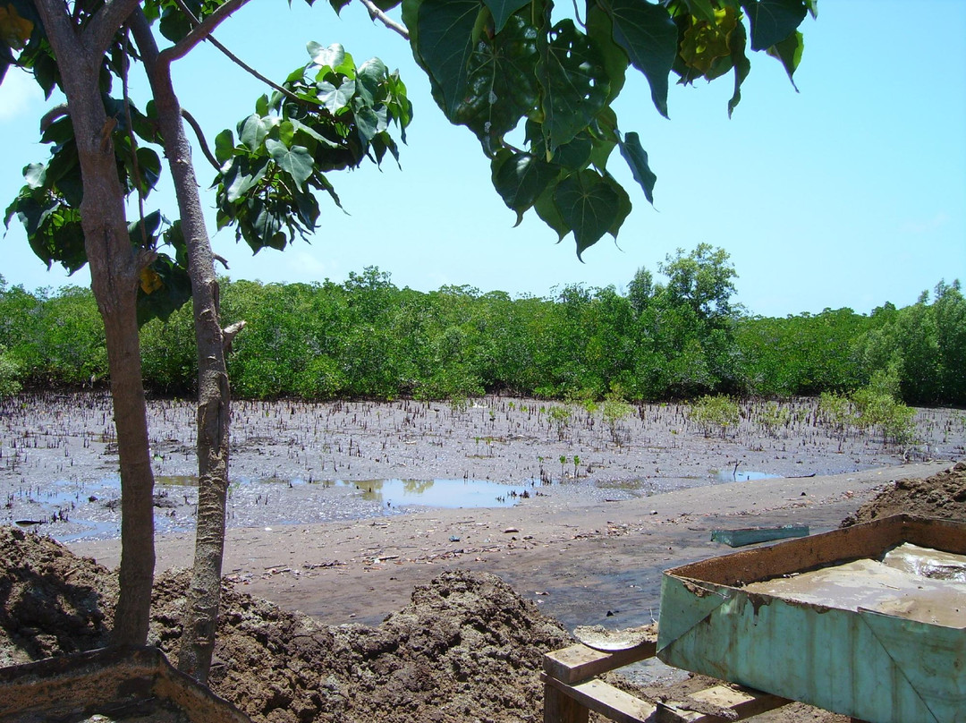 Bandrelé旅游景点-Ecomusee Du Sel De Bandrele