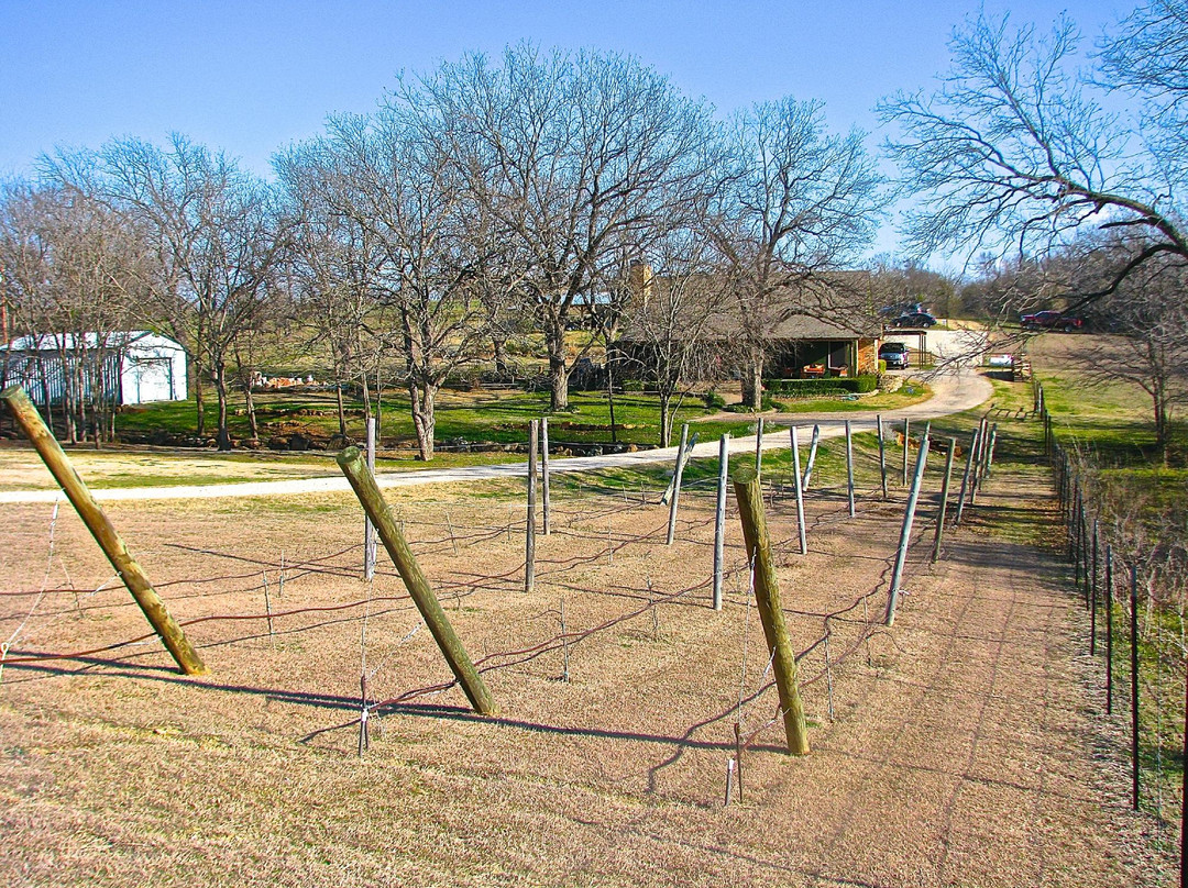 Sugar Ridge Winery-恩尼斯必去景点