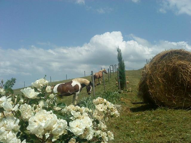 Hills and Trails-Murci必去景点