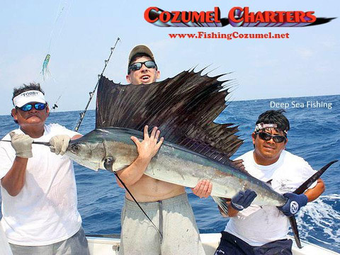 Cozumel Charters-阿范特拉斯港必去景点