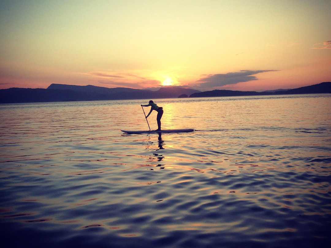 Dog Mermaid Eco Excursions, Kayak Rentals & Retreats-Pender Island必去景点