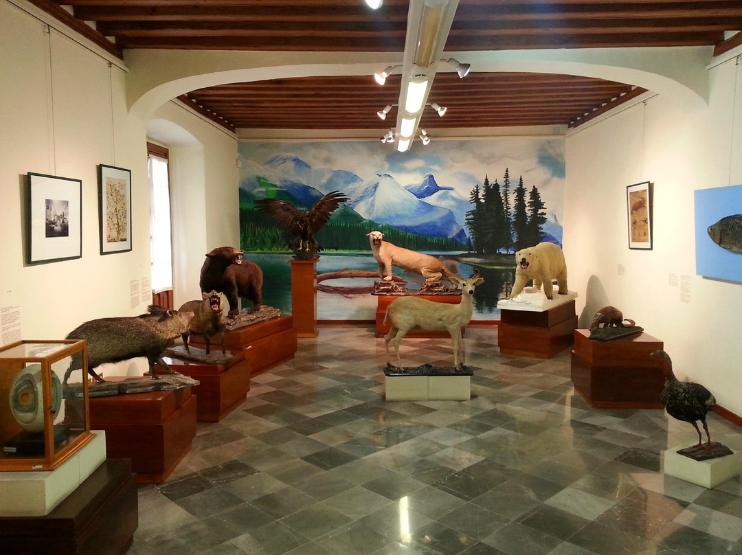 Complejo Cultural Universitario de la BUAP-普埃布拉必去景点