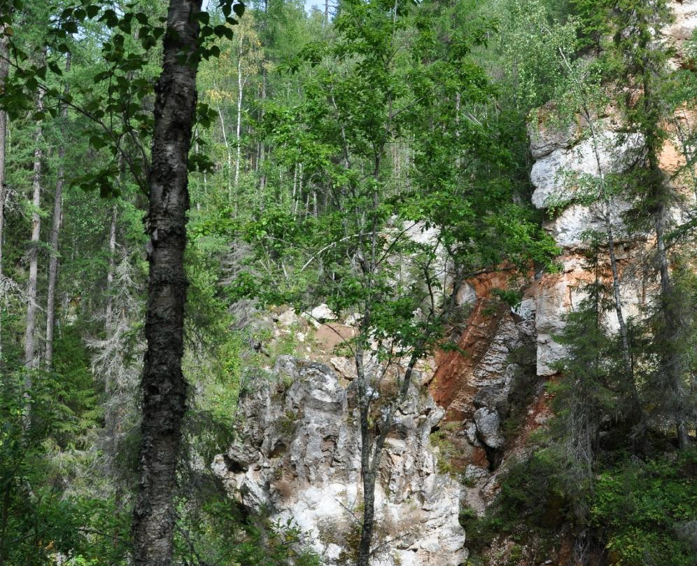 Pinezhsky Nature Reserve景点图片