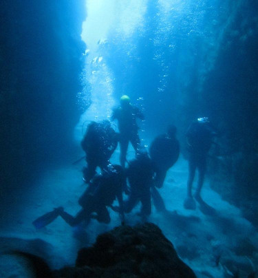 Octopus Dive Nusa Penida-珀尼达岛必去景点