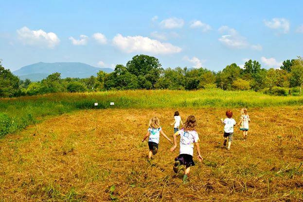 Hickory Nut Gap Farm景点图片
