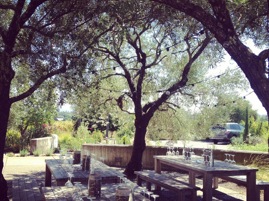 Obsidian Wine Tours-圣海伦娜必去景点