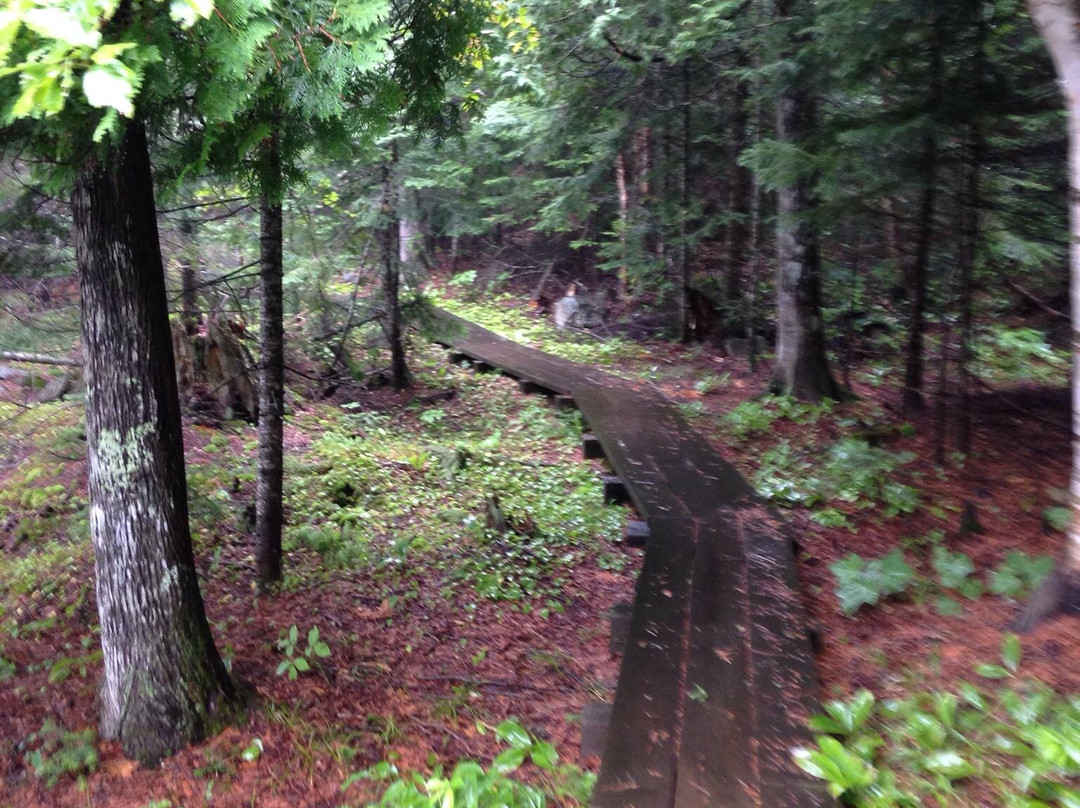 George Crosby Manitou State Park-Finland必去景点