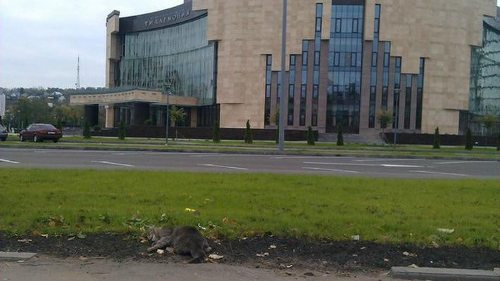 Penza Regional Philharmonic Hall-奔萨必去景点