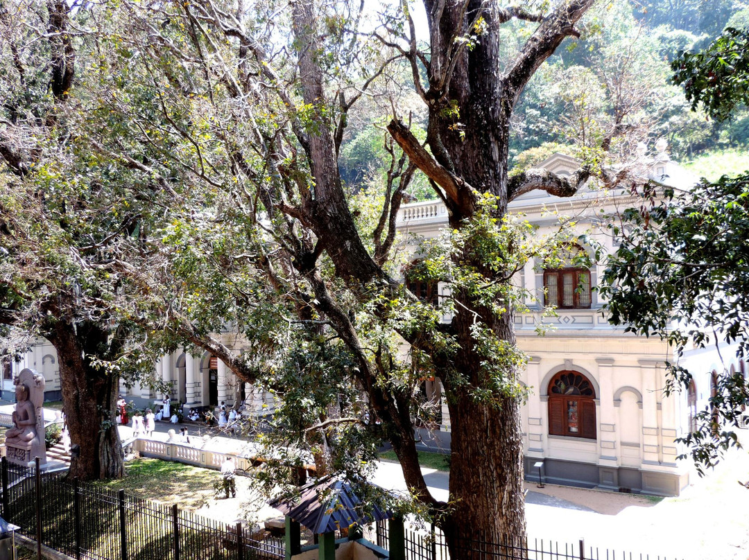 World Buddhist Museum景点图片