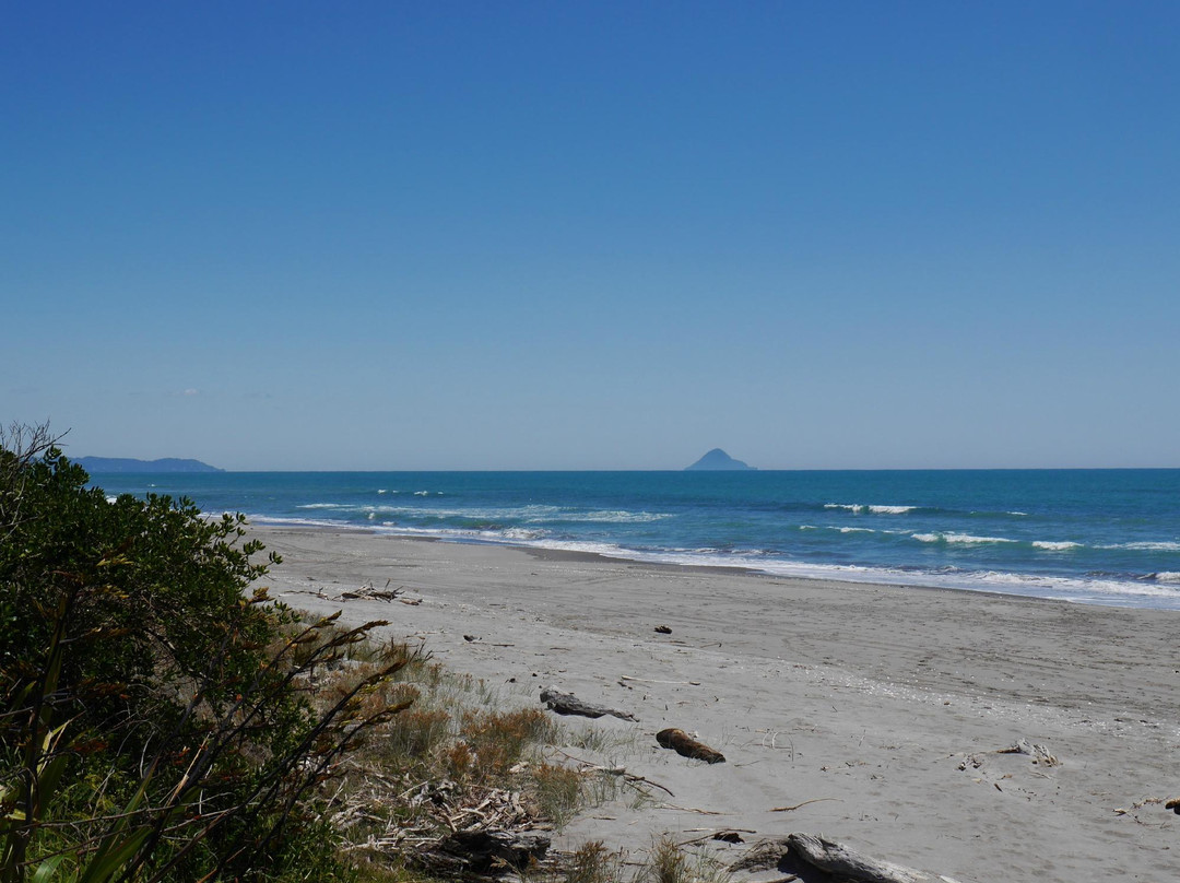 Waiotahe Beach景点图片