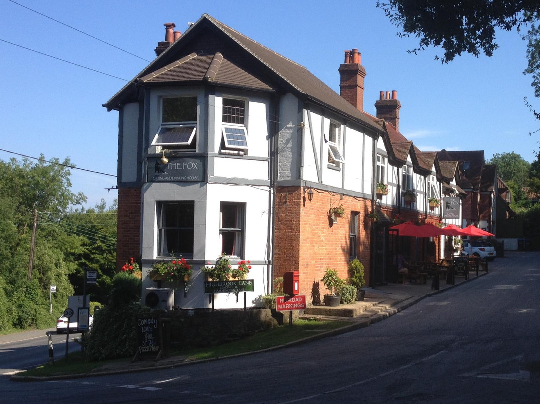 The Fox Free House
