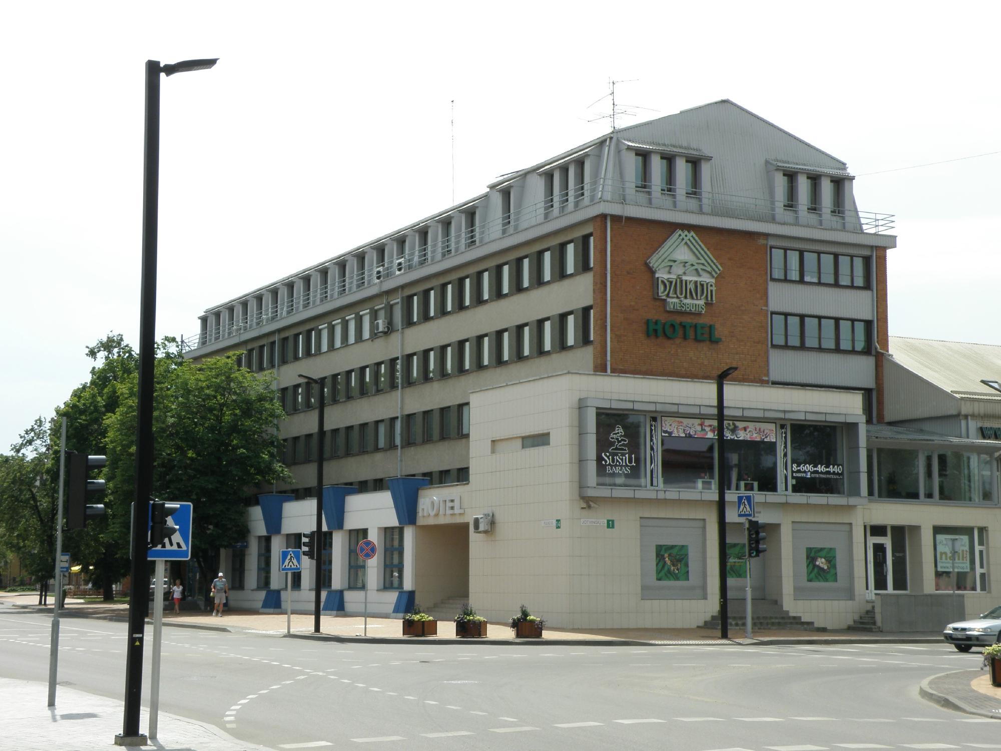 Dzukija Hotel-浴室