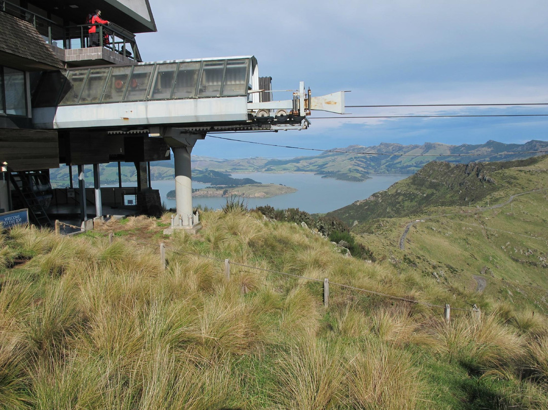 Eco Walks-基督城必去景点