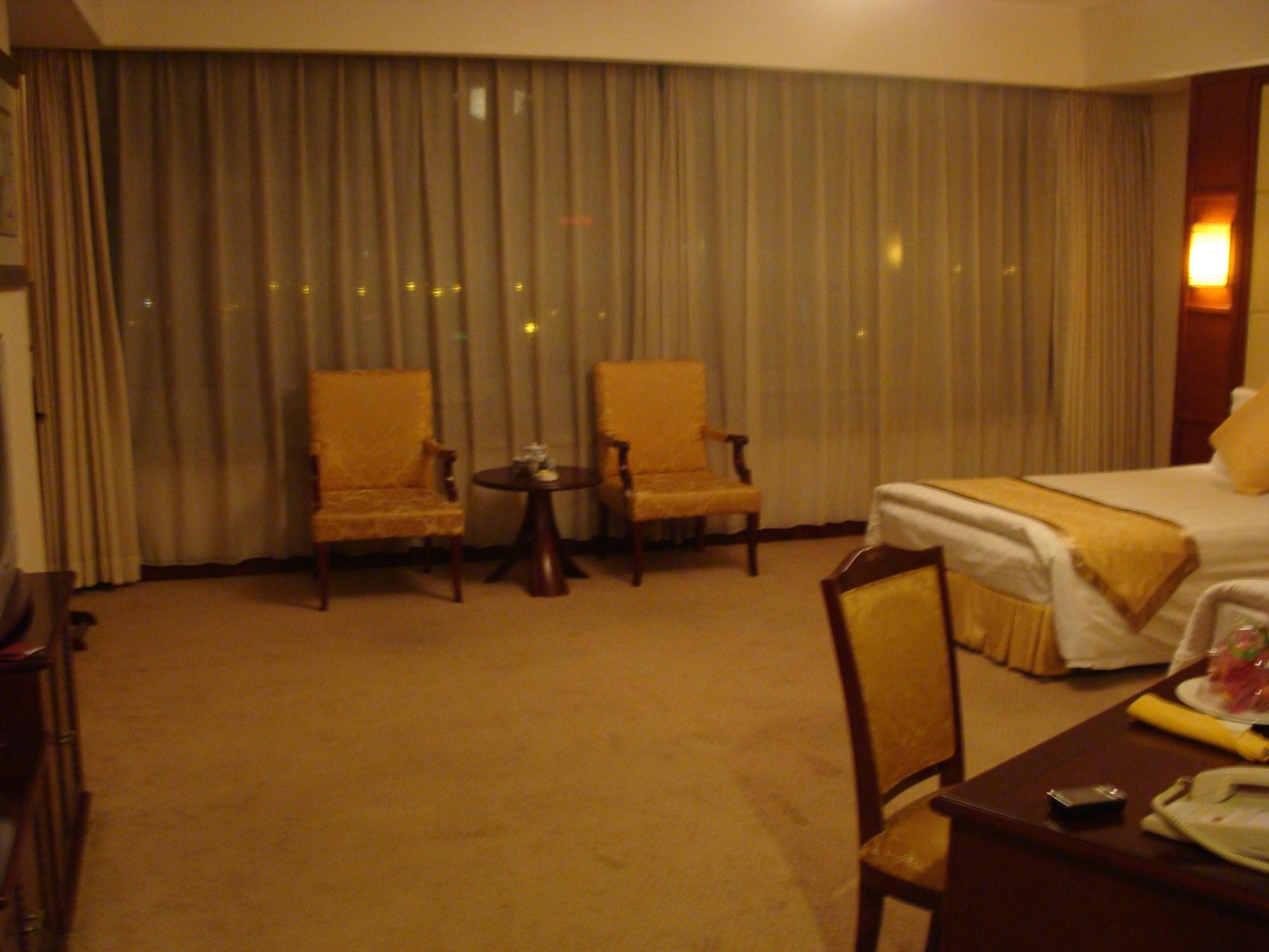 尼斯国际大酒店-客卧