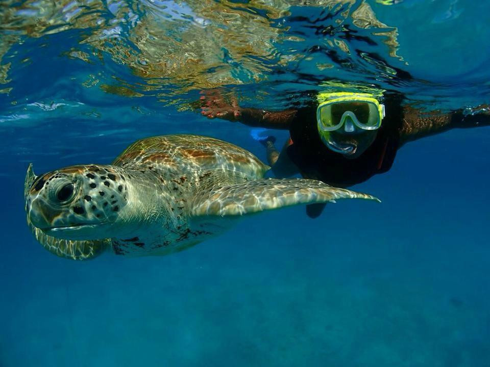 Cliff Sharker-奥伊斯廷斯必去景点