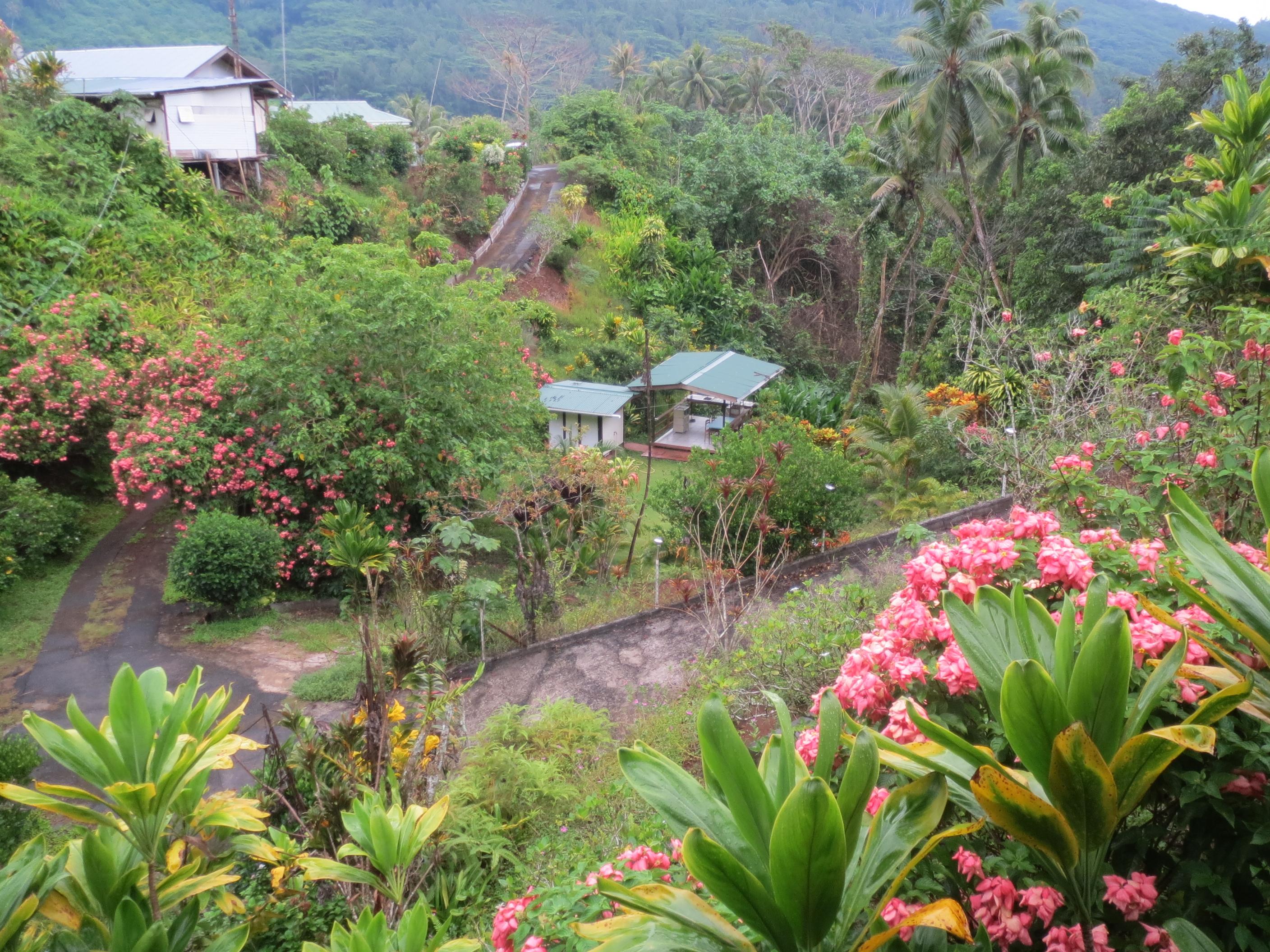 Pension Temaeva-客卧