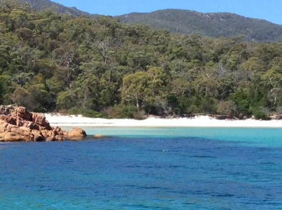 Wineglass Bay Cruises-科尔斯湾必去景点