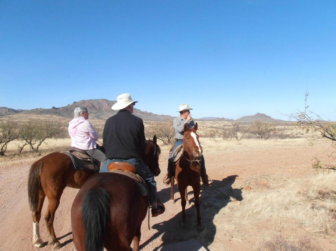 Henson Stables-Amado必去景点