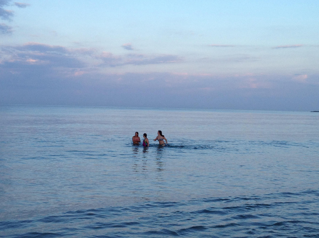 Fred Benson Town Beach-新肖勒姆必去景点
