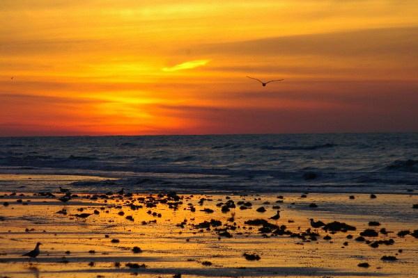 Out by the Sea Bed and Breakfast-官方