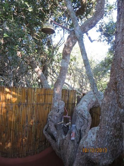 Schotia Safaris Private Game Reserve-伊丽莎白港必去景点