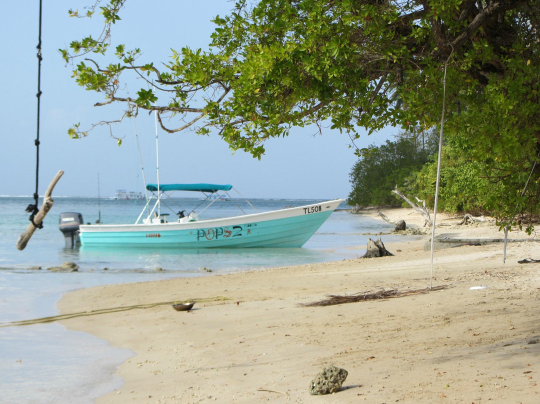 Pops Tours Tobago-Buccoo必去景点