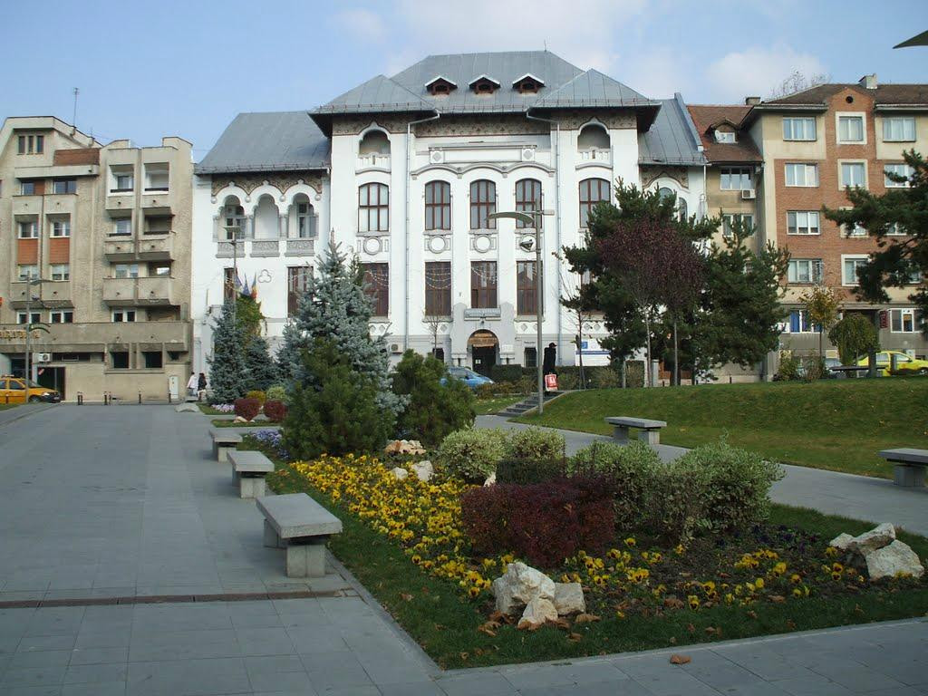 Muzeul Stiintele Naturii Oltenia景点图片