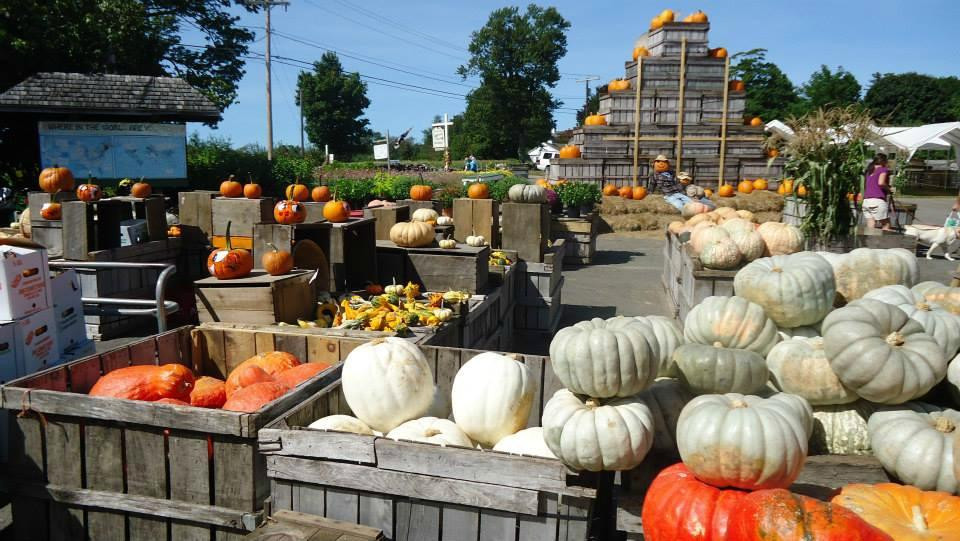 Applecrest Farm Orchards-Hampton Falls必去景点