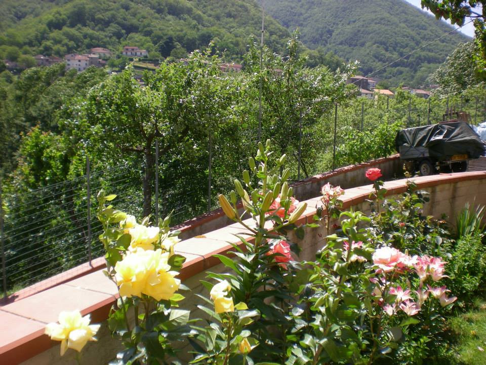 La Valle del Sole主图