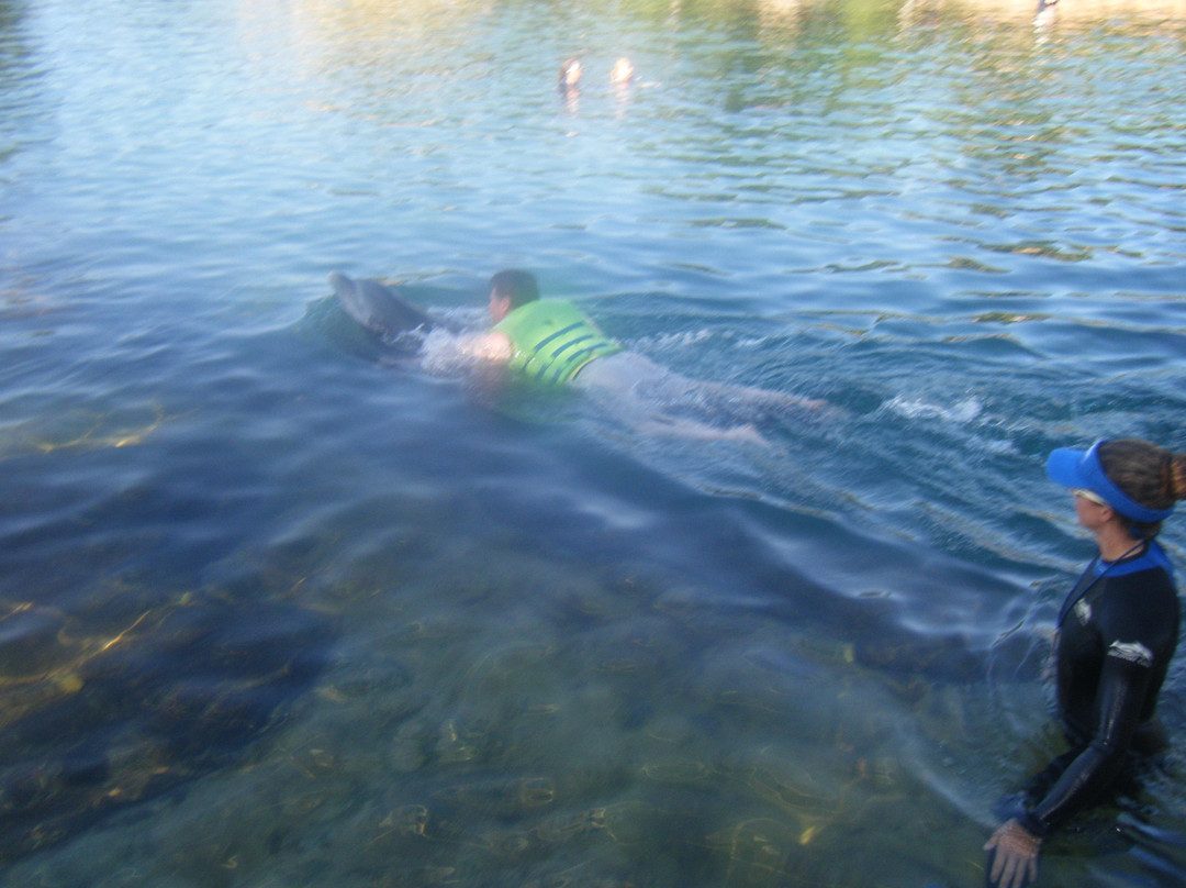 探索湾-奥兰多必去景点