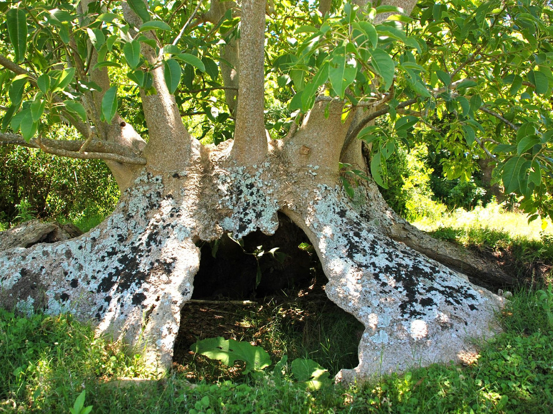 Monte de Ombúes-Valizas必去景点