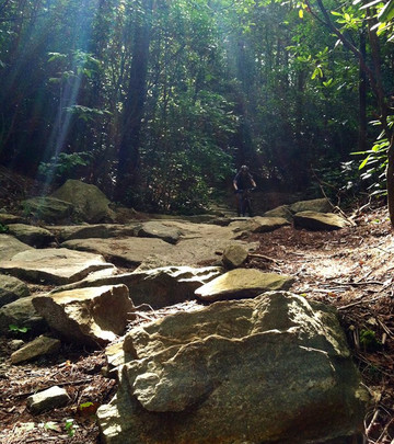 Pisgah Mountain Bike Adventures - Day Tours-阿什维尔必去景点