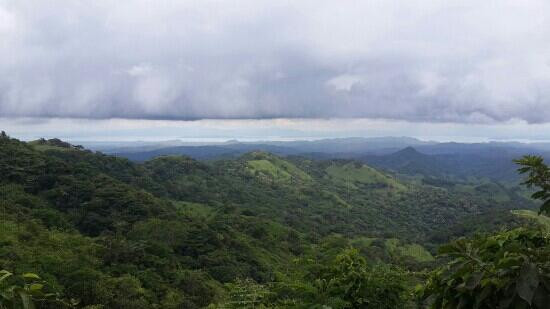 Ranario Monteverde Frog Pond景点图片