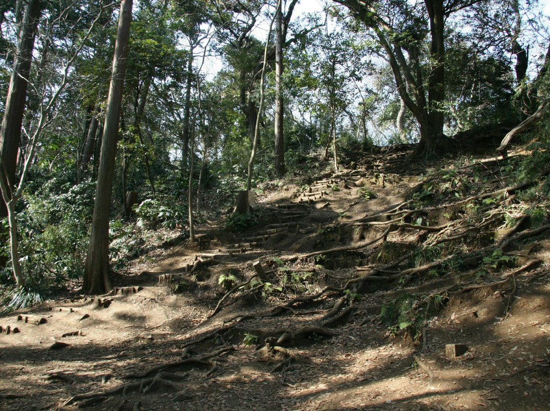 镰仓远足路线景点图片