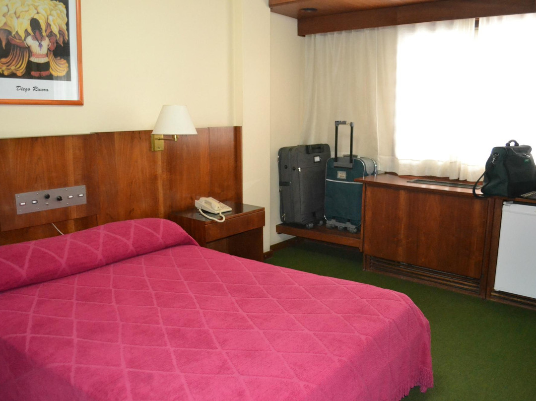 Hotel Del Jardin主图