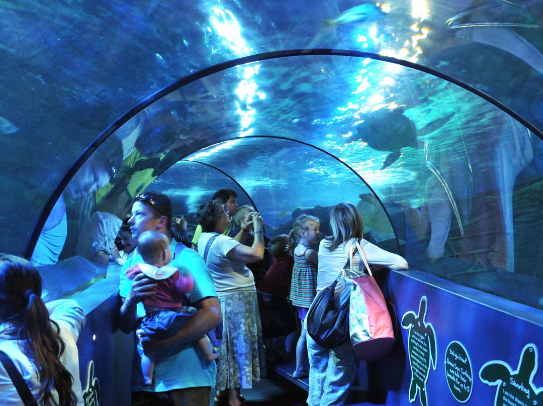 Weymouth SEA LIFE Adventure Park景点图片
