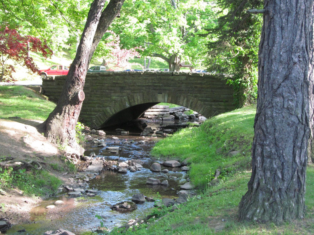 Conneaut Township Park景点图片