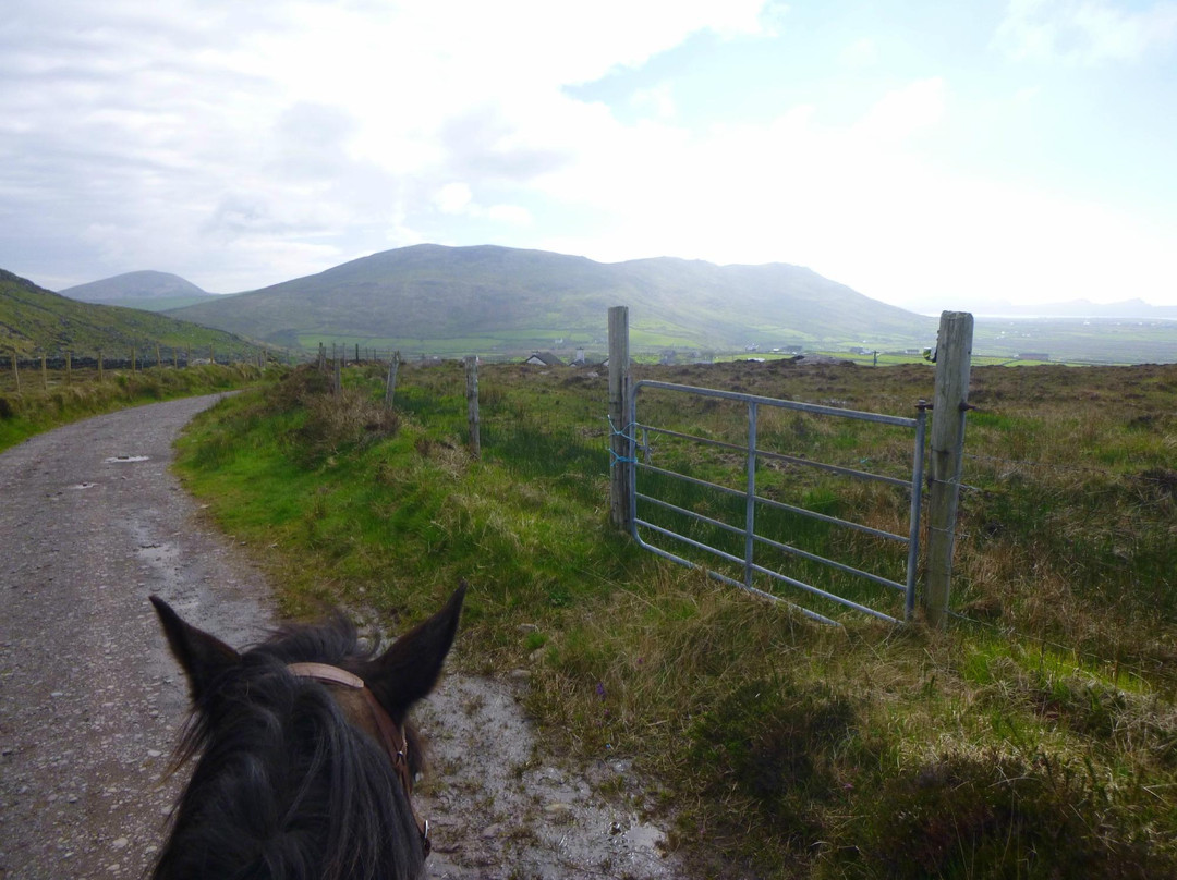 Sea View Equestrian-Ballydavid必去景点