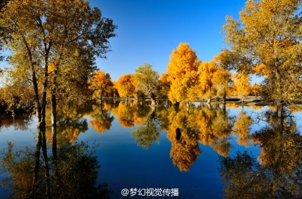 塔里木河景点图片