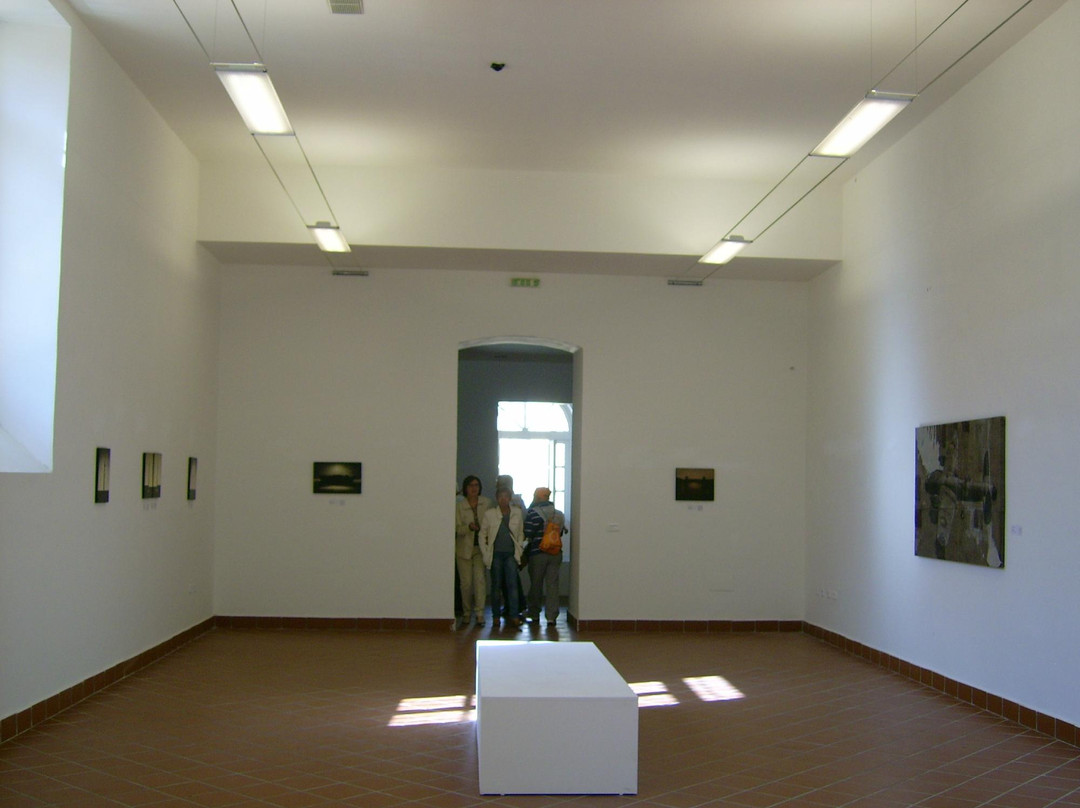 Museo d'Arte Contemporanea景点图片