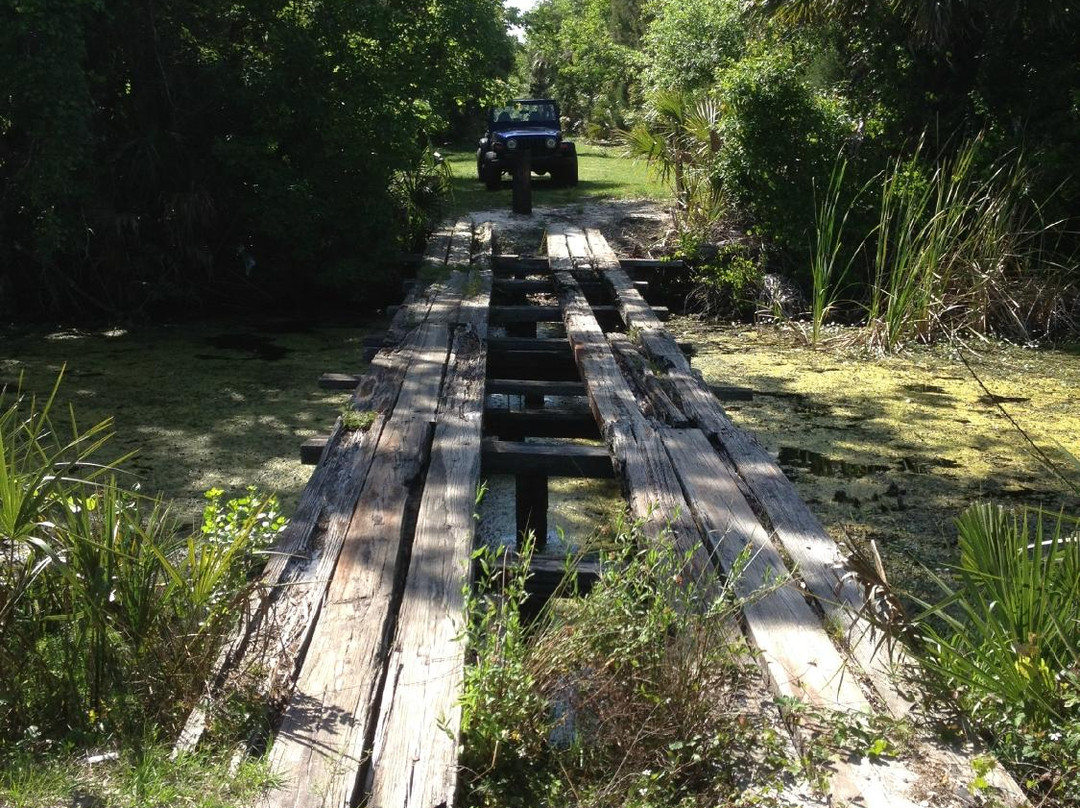 Tosohatchee State Reserve-Christmas必去景点